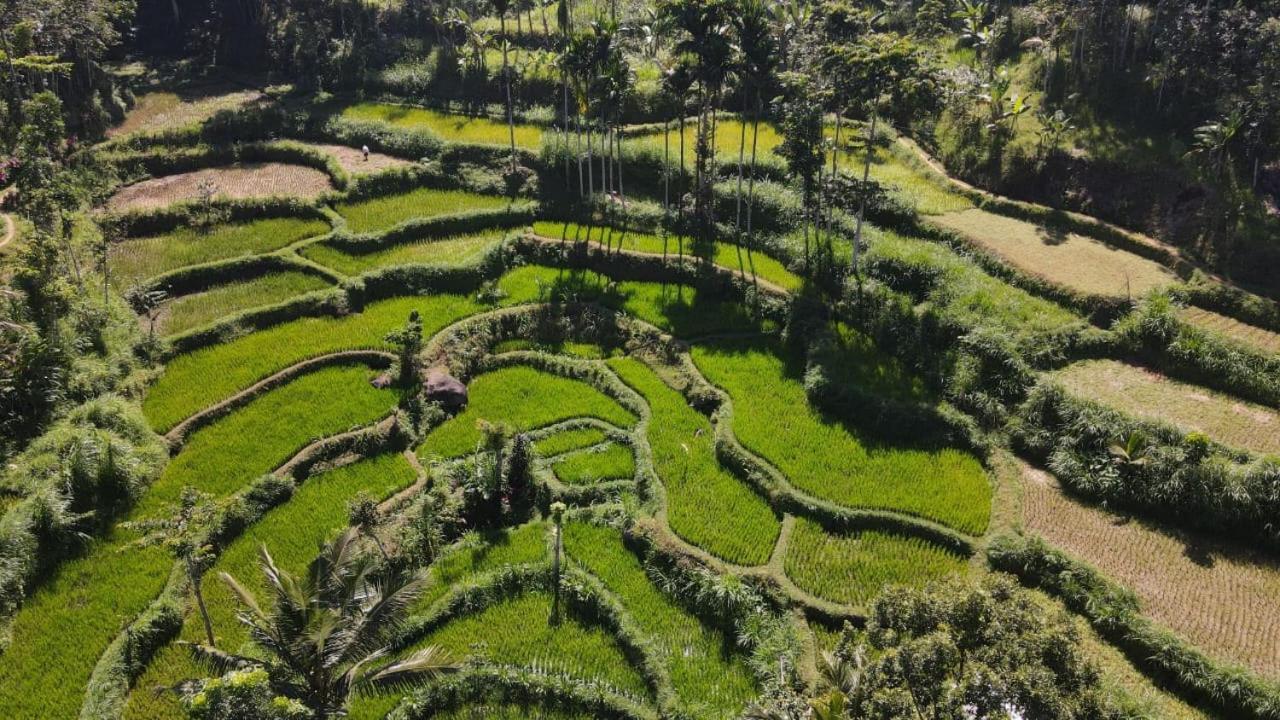 My Home Тетебату Экстерьер фото